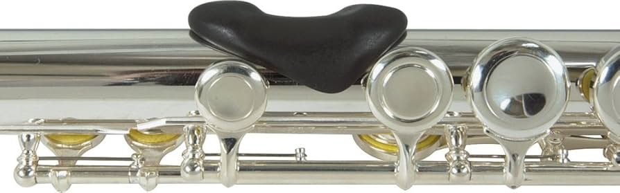 みぃ　フルート　全体調整　美品 61tSt2FL1UL._UF350,350_QL50_.jpg